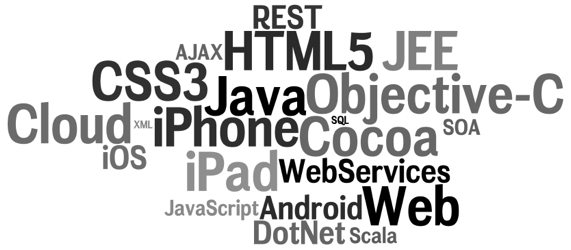 Java, JEE, Web, REST, Web Services, Cloud, .NET, HTML5, CSS3, JavaScript, AJAX, iPhone, iPad, iOS, Objective-C, Cocoa, SQL, XML, Scala, SOA, Android